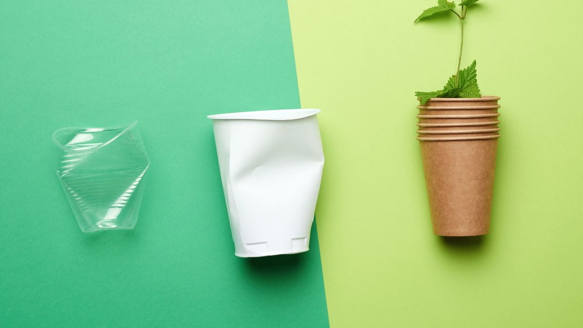 Paper cups vs plastic cups